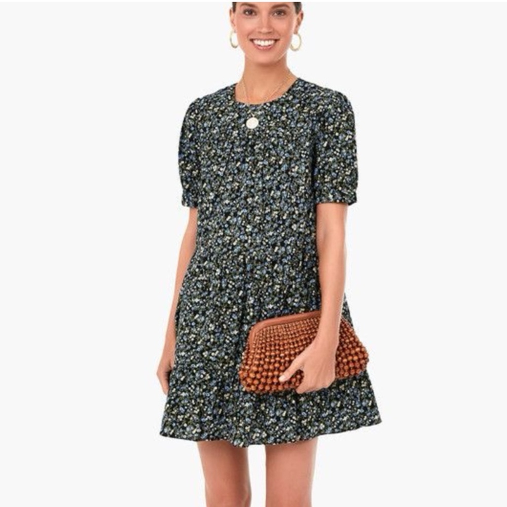 Tuckernuck Black Mini Dress with Blue and White Floral Print